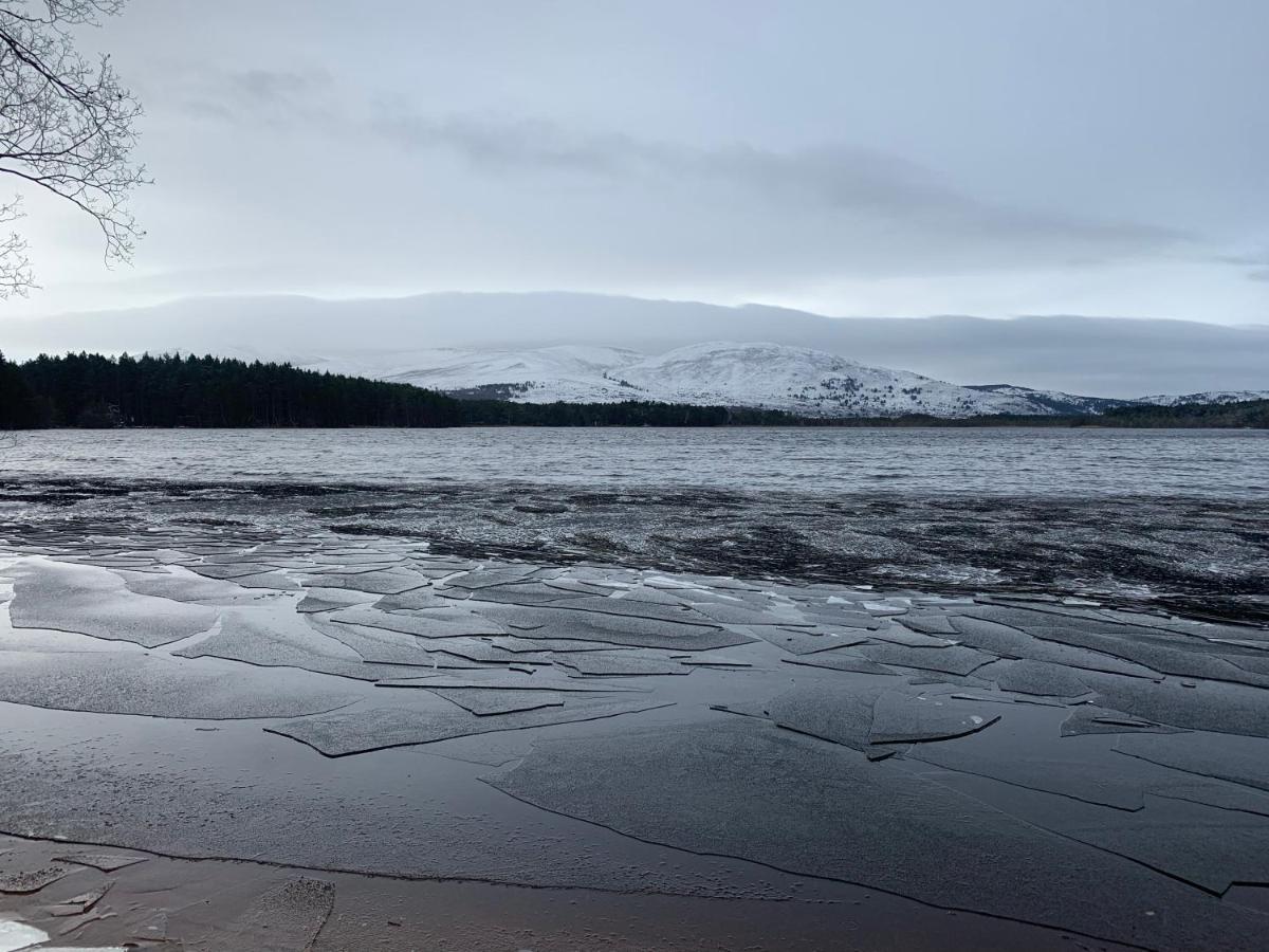 The One - Chalet In The Cairngorms Boat of Garten Exterior photo